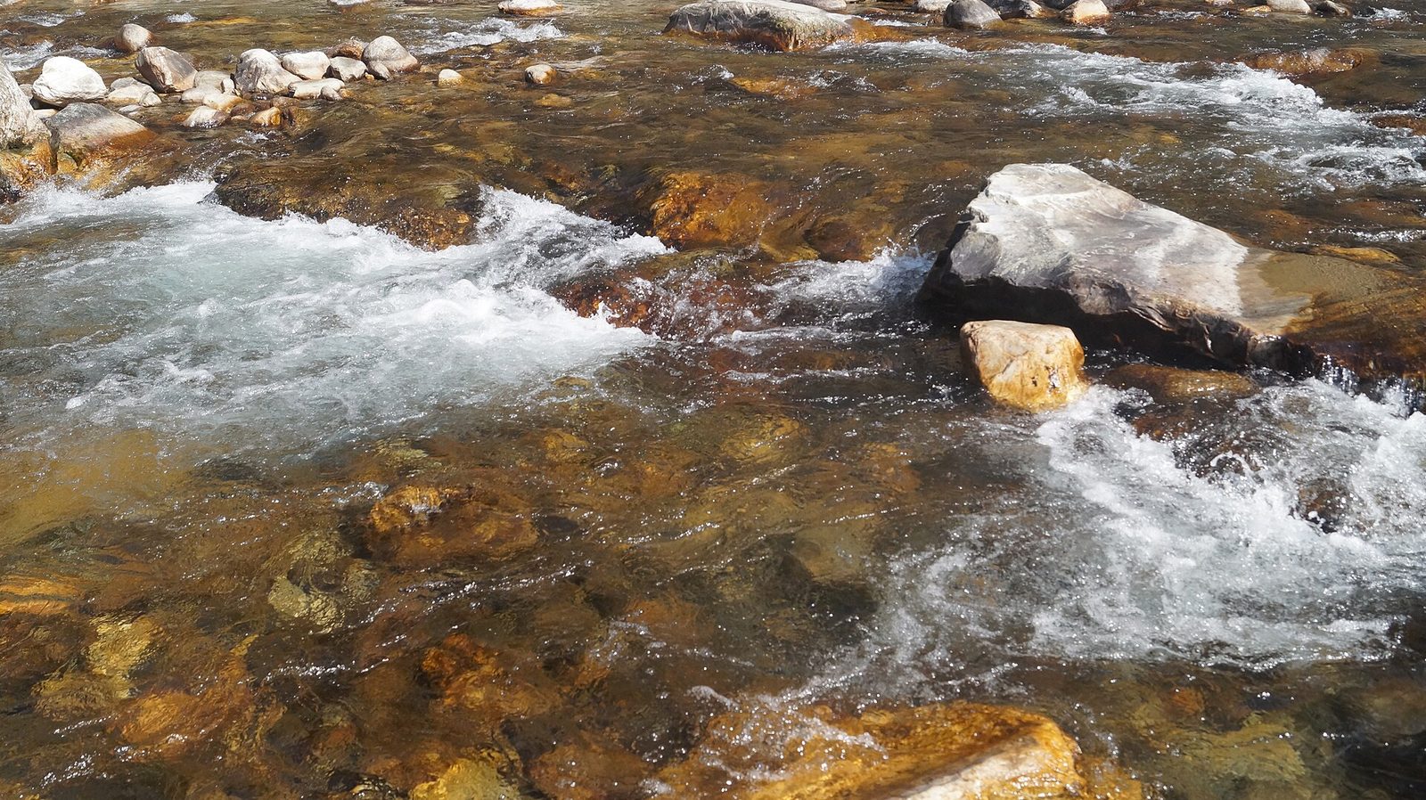 Tirthan river running through its forested valley