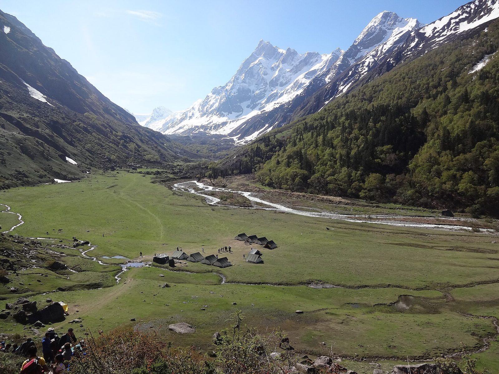 Camping meadow at the foothills of the Himalayas in Himachal Pradesh
